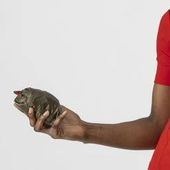 Castelli Aria W Vest Moss Brown