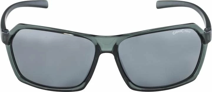 Alpina FINETY Smoke Transparent CM 3 Alpina FINETY Smoke Transparent CM